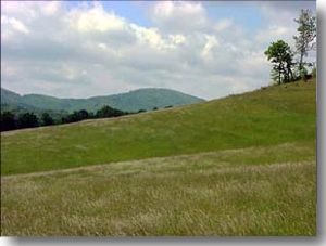 Alleghany County
