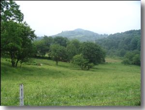 Cheek
Mountain