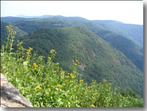 Wildcat Rocks Overlook