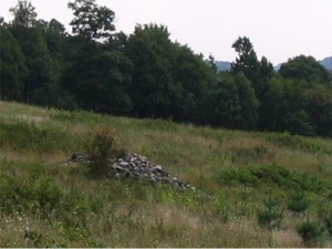 ruins of William B. Cheek house